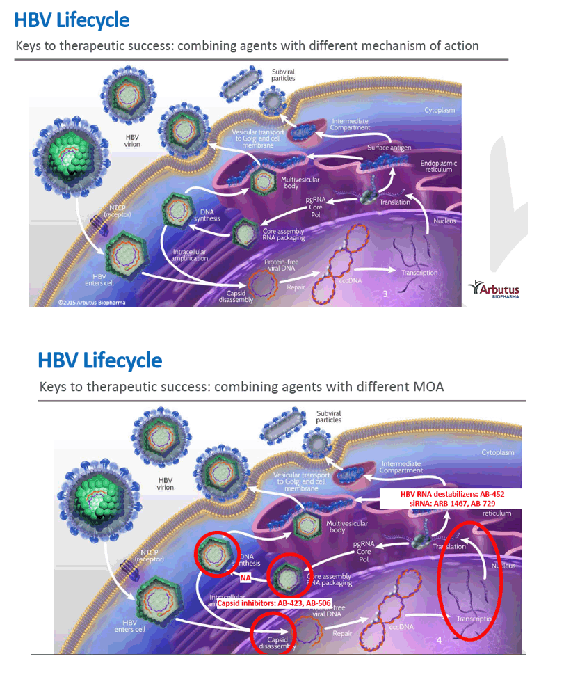 Preclinical Antiviral Drug Combination Studies Utilizing Novel Orally ...